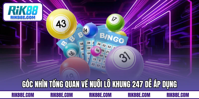 Góc nhìn tổng quan về nuôi lô khung 247 dễ áp dụng