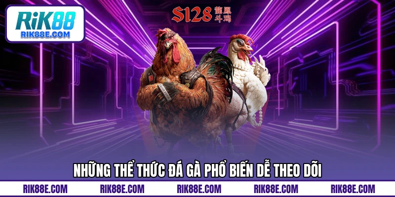 Những thể thức đá gà phổ biến dễ theo dõi